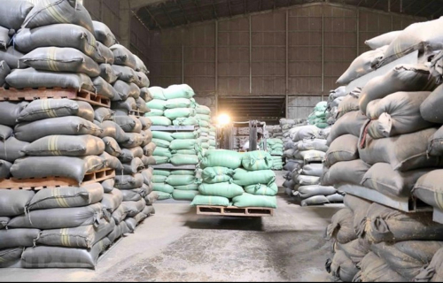 Quảng Bình, Quảng Ngãi được hỗ trợ cứu đói 3.500 tấn gạo do bị ảnh hưởng bởi thiên tai, mưa lũ.